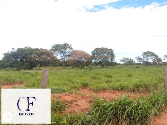Imagem Fazenda à Venda, 3.097 m² em Rural - Chapadão Do Sul Imagem Fazenda à Venda, 3.097 m² em Rural - Chapadão Do Sul