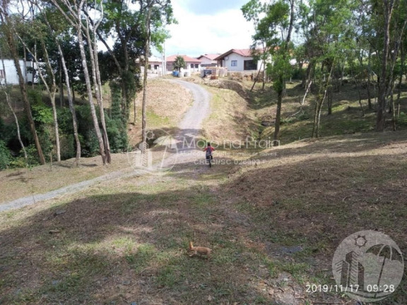 Imagem Imóvel com 3 Quartos à Venda, 2 m² em Belo Horizonte - Agronômica Imagem Imóvel com 3 Quartos à Venda, 2 m² em Belo Horizonte - Agronômica