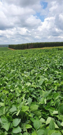 Imagem Fazenda à Venda, 171 m² em Rural - Cabrália Paulista Imagem Fazenda à Venda, 171 m² em Rural - Cabrália Paulista