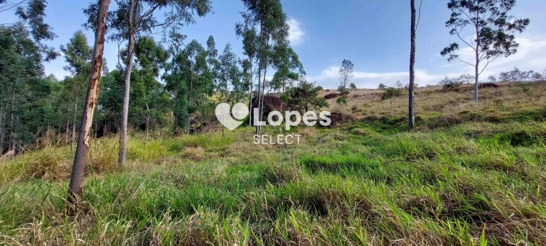 Imagem Imóvel com 1 Quarto à Venda, 46 m² em área Rural De Amparo - Amparo