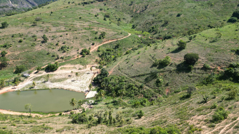 Imagem Fazenda à Venda, 16 m² em Centro - Colatina Imagem Fazenda à Venda, 16 m² em Centro - Colatina