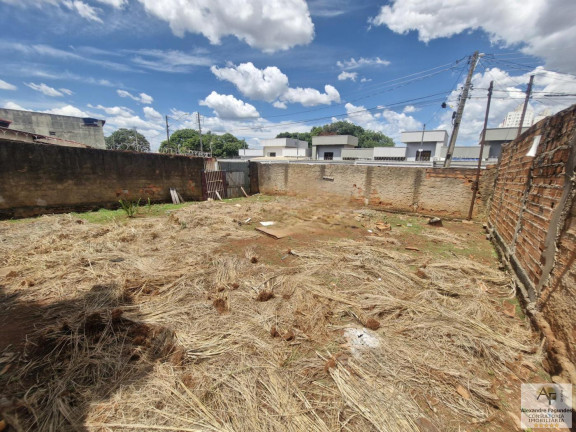 Imagem Terreno à Venda, 360 m² em Vila Regina - Goiânia Imagem Terreno à Venda, 360 m² em Vila Regina - Goiânia