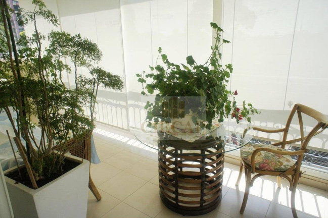 Imagem Apartamento com 4 Quartos à Venda, 300 m² em Higienópolis - São Paulo Imagem Apartamento com 4 Quartos à Venda, 300 m² em Higienópolis - São Paulo
