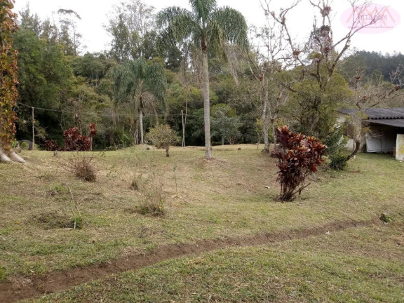 Imagem Imóvel com 6 Quartos à Venda, 128 m² em Biritiba-ussu - Mogi Das Cruzes Imagem Imóvel com 6 Quartos à Venda, 128 m² em Biritiba-ussu - Mogi Das Cruzes