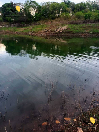 Imagem Chácara com 1 Quarto à Venda, 3.000 m² em Uberlândia
