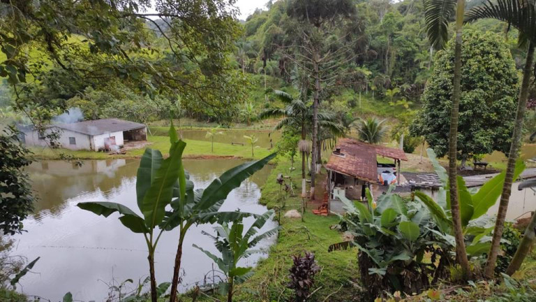 Imagem Imóvel à Venda,  em Santa Rita - Miracatu