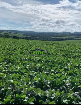 Imagem Chácara à Venda, em Hidrolândia Imagem Chácara à Venda, em Hidrolândia