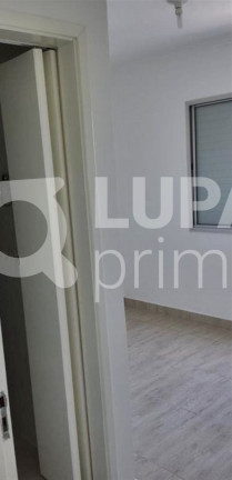 Imagem Apartamento com 2 Quartos à Venda, 70 m² em Vila Amélia - São Paulo Imagem Apartamento com 2 Quartos à Venda, 70 m² em Vila Amélia - São Paulo