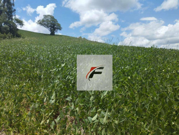 Imagem Fazenda à Venda, 774.400 m² em Centro - Boa Ventura De São Roque Imagem Fazenda à Venda, 774.400 m² em Centro - Boa Ventura De São Roque