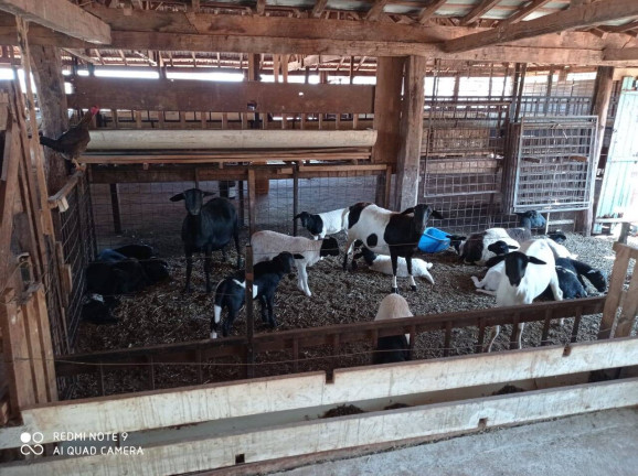 Imagem Fazenda à Venda, 106 m² em Mg - Iturama