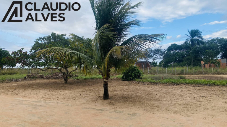 Imagem Terreno à Venda, 14.000 m² em Br 116 Norte - Santa Bárbara Imagem Terreno à Venda, 14.000 m² em Br 116 Norte - Santa Bárbara