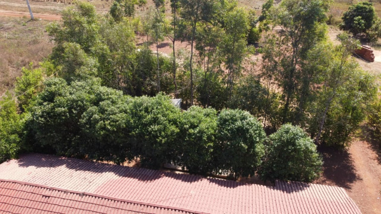 Imagem Imóvel com 3 Quartos à Venda,  em Tocantins - Gurupi