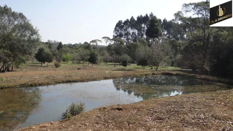 Imagem Imóvel com 4 Quartos à Venda, 84.000 m² em Jardim Itaqui - Campo Largo