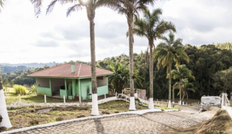 Imagem Imóvel com 3 Quartos à Venda, 36.300 m² em Roça Velha - São José Dos Pinhais Imagem Imóvel com 3 Quartos à Venda, 36.300 m² em Roça Velha - São José Dos Pinhais