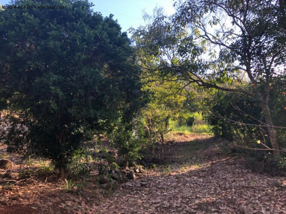 Imagem Terreno à Venda, 3 m² em Rua São José Do Cai - Nova Petrópolis Imagem Terreno à Venda, 3 m² em Rua São José Do Cai - Nova Petrópolis