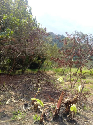 Imagem Terreno à Venda, 1.400 m² em Buquirinha Ii - São José Dos Campos Imagem Terreno à Venda, 1.400 m² em Buquirinha Ii - São José Dos Campos