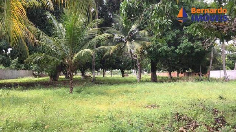 Imagem Chácara com 3 Quartos à Venda, 9 m² em Tijucussú - Cascavel