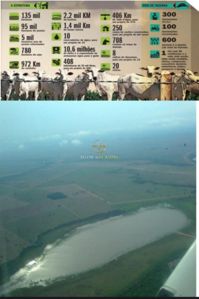 Imagem Imóvel com 3 Quartos à Venda, 135.000 m² em Zona Rural - São Miguel Do Araguaia Imagem Imóvel com 3 Quartos à Venda, 135.000 m² em Zona Rural - São Miguel Do Araguaia