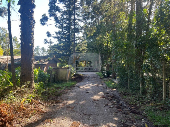 Imagem Terreno à Venda, 5.633 m² em Pousada Da Neve - Nova Petrópolis