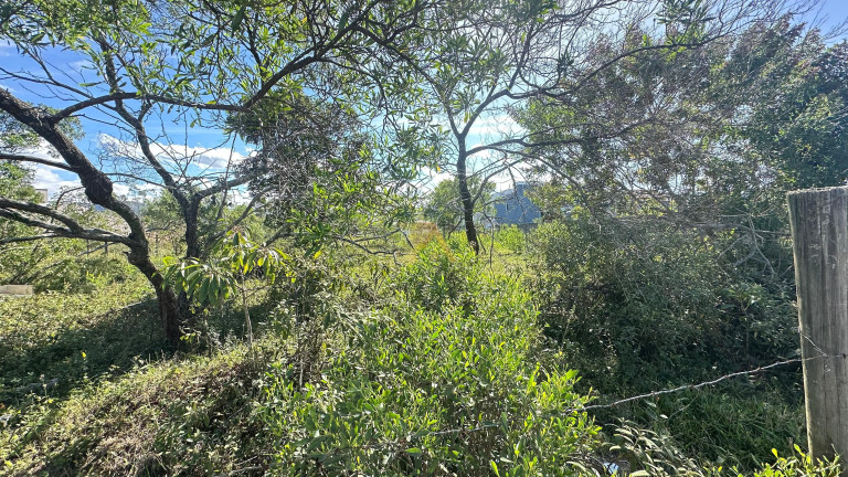 Imagem Terreno à Venda, em Campo Duna - Garopaba Imagem Terreno à Venda, em Campo Duna - Garopaba