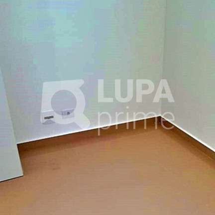 Imagem Apartamento com 2 Quartos à Venda, 55 m² em Vila Nova Cachoeirinha - São Paulo