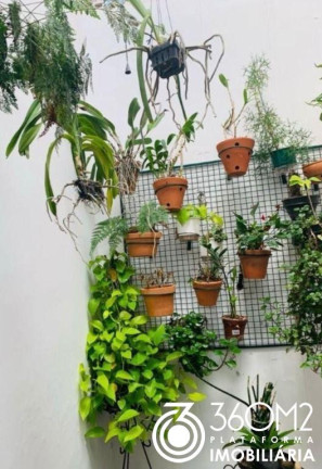 Imagem Casa com 3 Quartos à Venda, 200 m² em Santa Paula - São Caetano Do Sul Imagem Casa com 3 Quartos à Venda, 200 m² em Santa Paula - São Caetano Do Sul