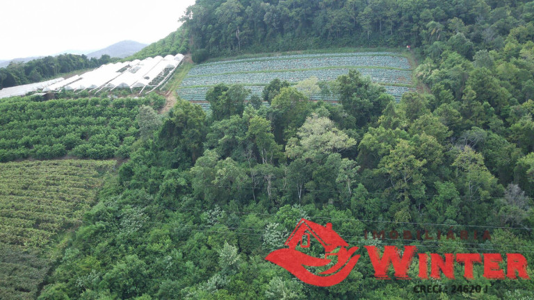 Imagem Chácara à Venda, 16 m² em Picão - Feliz Imagem Chácara à Venda, 16 m² em Picão - Feliz