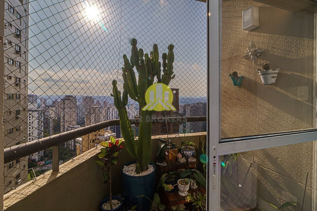 Imagem Apartamento com 2 Quartos à Venda, 91 m² em Morumbi - São Paulo Imagem Apartamento com 2 Quartos à Venda, 91 m² em Morumbi - São Paulo