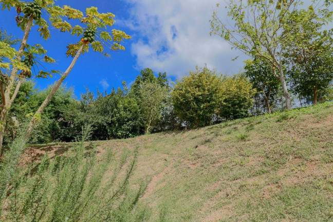 Imagem Chácara com 3 Quartos à Venda, 1.000 m² em Terra Preta - Mairiporã