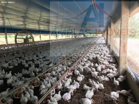 Imagem Fazenda à Venda, 60 m² em Azurita - Mateus Leme Imagem Fazenda à Venda, 60 m² em Azurita - Mateus Leme