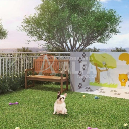 Imagem Apartamento com 2 Quartos à Venda, 42 m² em Jardim Barro Branco - Cotia Imagem Apartamento com 2 Quartos à Venda, 42 m² em Jardim Barro Branco - Cotia