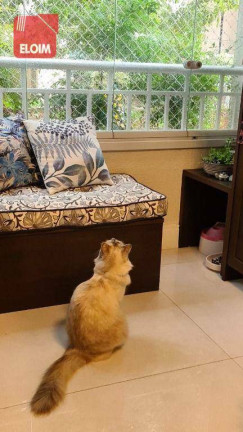 Imagem Apartamento com 2 Quartos à Venda, 65 m² em Cambuci - São Paulo
