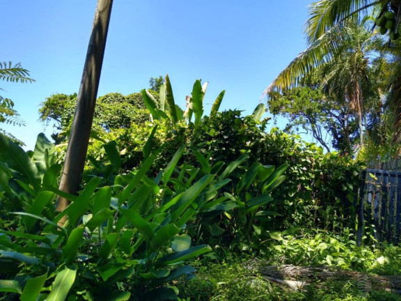 Imagem Terreno à Venda, 237 m² em Felix - Ubatuba