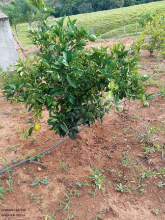Imagem Imóvel com 2 Quartos à Venda, 90 m² em Zona Rural - Caldas