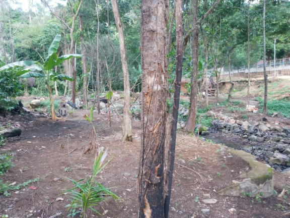 Imagem Imóvel à Venda, 3.000 m² em Campo Grande - Rio De Janeiro Imagem Imóvel à Venda, 3.000 m² em Campo Grande - Rio De Janeiro