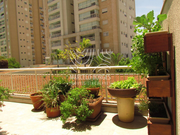Imagem Apartamento com 3 Quartos à Venda, 220 m² em Vila Alexandria - São Paulo