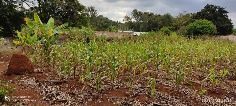 Imagem Terreno à Venda, 1.000 m² em Bosque Dos Eucaliptos - Araçoiaba Da Serra Imagem Terreno à Venda, 1.000 m² em Bosque Dos Eucaliptos - Araçoiaba Da Serra