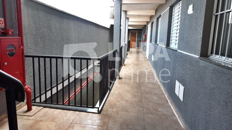 Imagem Apartamento com 2 Quartos à Venda, 45 m² em Parada Inglesa - São Paulo Imagem Apartamento com 2 Quartos à Venda, 45 m² em Parada Inglesa - São Paulo