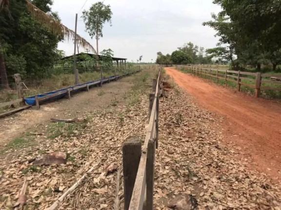 Imagem Fazenda à Venda, 1 m² em Zona Rural - Sinop Imagem Fazenda à Venda, 1 m² em Zona Rural - Sinop
