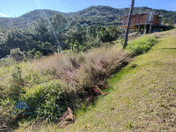 Imagem Terreno à Venda, 638 m² em Itacorubi - Florianópolis