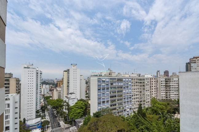 Imagem Apartamento com 3 Quartos à Venda, 241 m² em Aclimação - São Paulo Imagem Apartamento com 3 Quartos à Venda, 241 m² em Aclimação - São Paulo