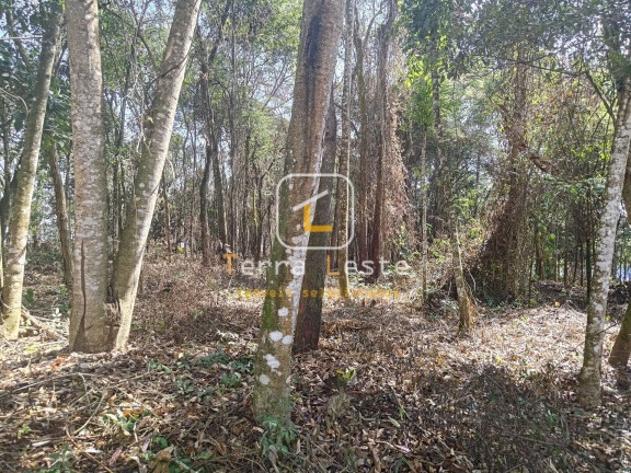 Imagem Terreno à Venda, 2.000 m² em Aranha - Brumadinho Imagem Terreno à Venda, 2.000 m² em Aranha - Brumadinho