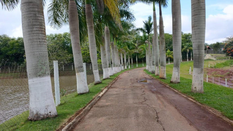 Imagem Fazenda à Venda, 64 m² em Rural - Itapetininga Imagem Fazenda à Venda, 64 m² em Rural - Itapetininga