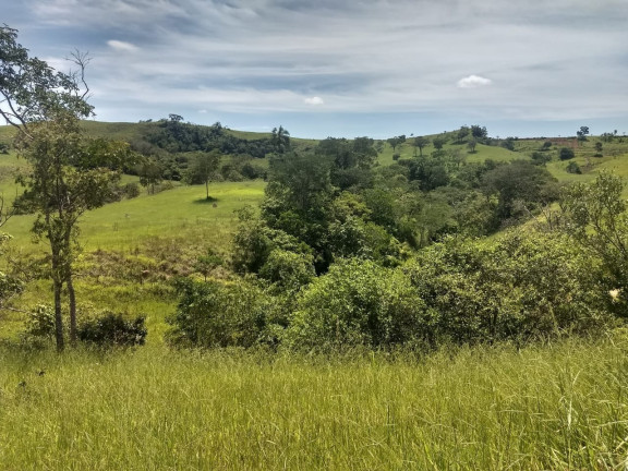 Imagem Chácara à Venda, 400.000 m² em Barreiro - Taubaté Imagem Chácara à Venda, 400.000 m² em Barreiro - Taubaté