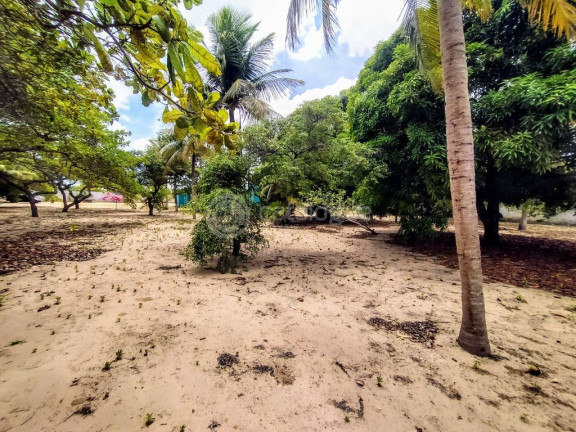 Imagem Fazenda à Venda, 6.400 m² em Pium - Nísia Floresta Imagem Fazenda à Venda, 6.400 m² em Pium - Nísia Floresta
