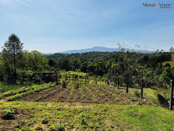 Imagem Chácara à Venda, 6.300 m² em Zona Rural - Tijucas Do Sul Imagem Chácara à Venda, 6.300 m² em Zona Rural - Tijucas Do Sul