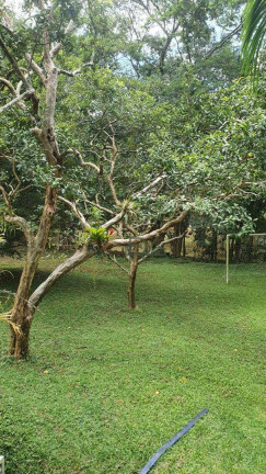 Imagem Casa com 4 Quartos à Venda, 430 m² em Jardim Colonial - Carapicuíba Imagem Casa com 4 Quartos à Venda, 430 m² em Jardim Colonial - Carapicuíba