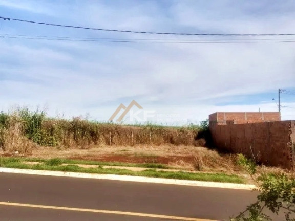 Imagem Terreno à Venda, 312 m² em Jardim Cristo Redentor - Ribeirão Preto Imagem Terreno à Venda, 312 m² em Jardim Cristo Redentor - Ribeirão Preto