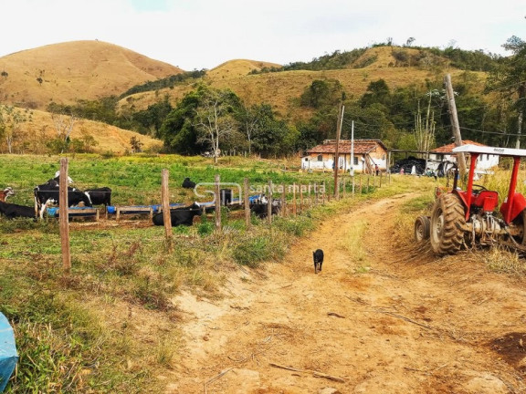 Imóvel com 2 Quartos à Venda, 1 m² em Três Barras - Cachoeira Paulista