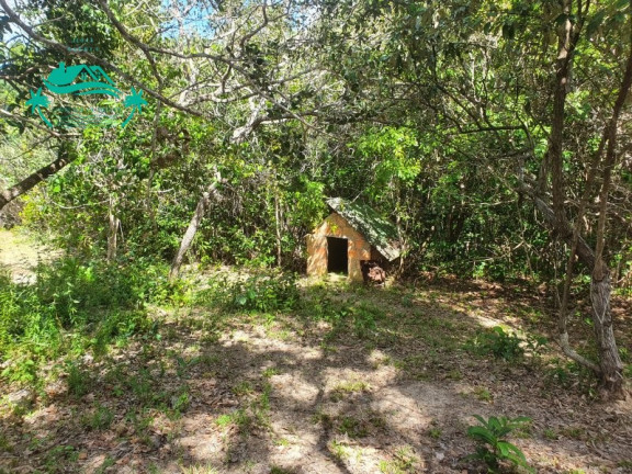 Imagem Imóvel à Venda, 800 m² em Curralinho - Mata De São João Imagem Imóvel à Venda, 800 m² em Curralinho - Mata De São João